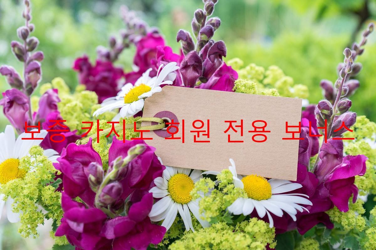 보증 카지노 회원 전용 보너스