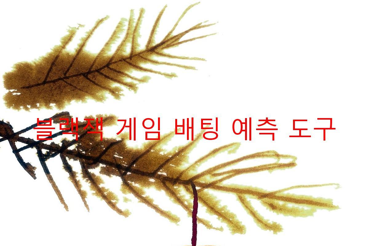 블랙잭 게임 배팅 예측 도구