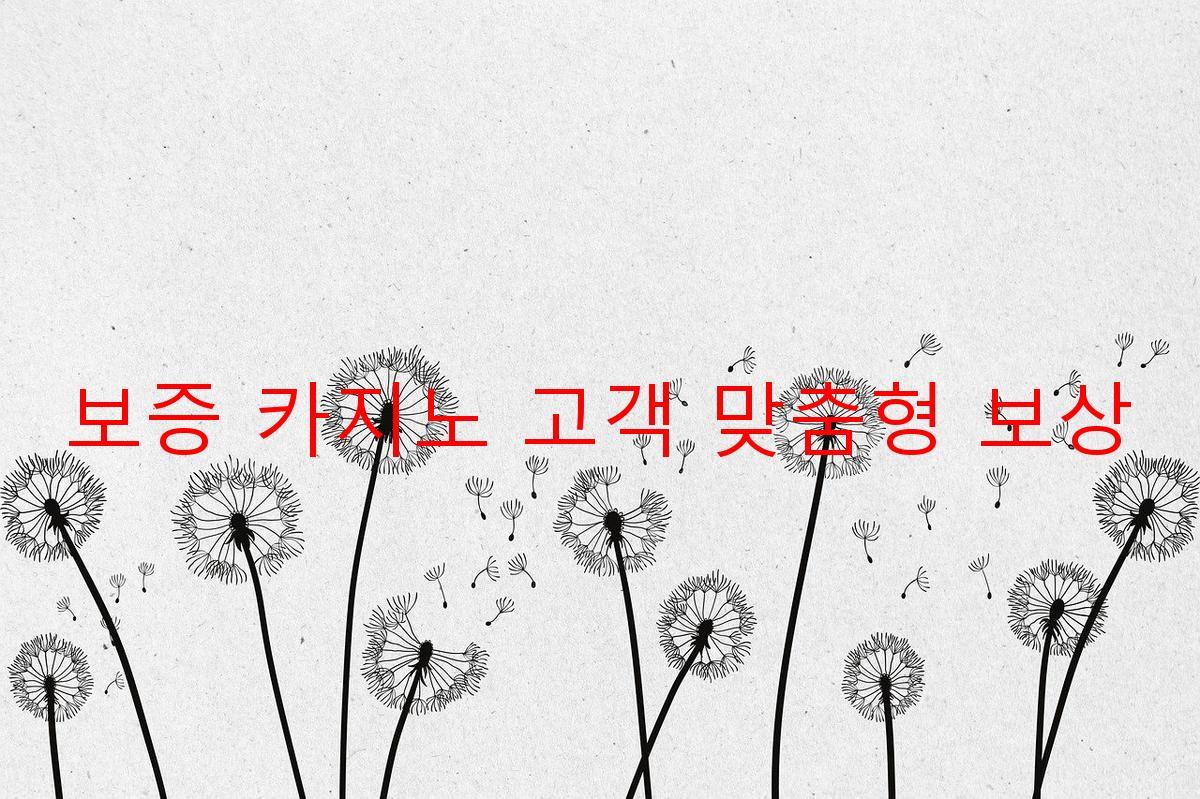 보증 카지노 고객 맞춤형 보상