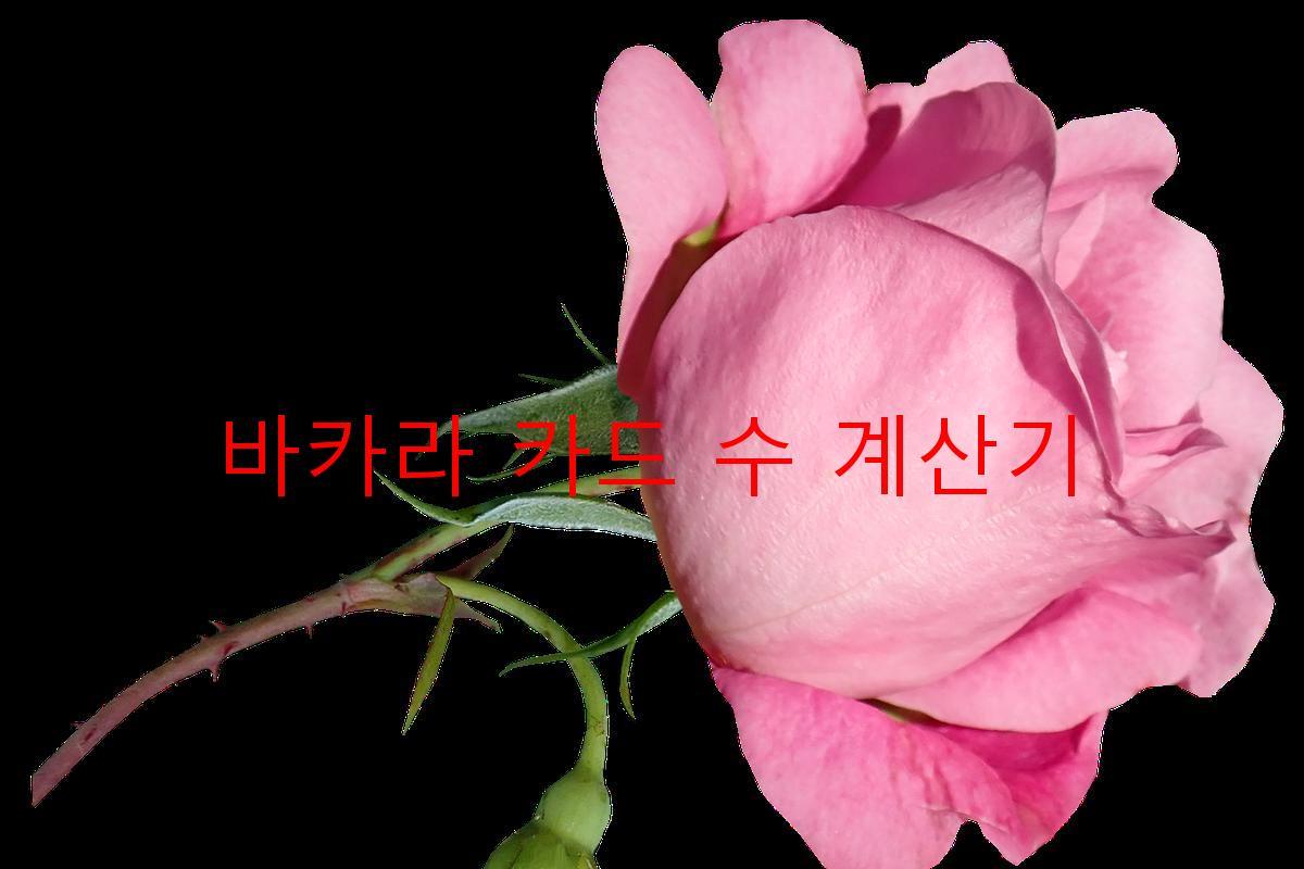 바카라 카드 수 계산기