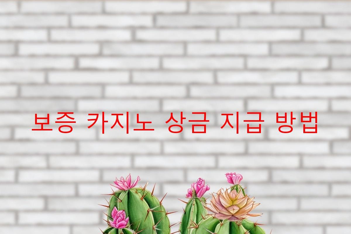 보증 카지노 상금 지급 방법