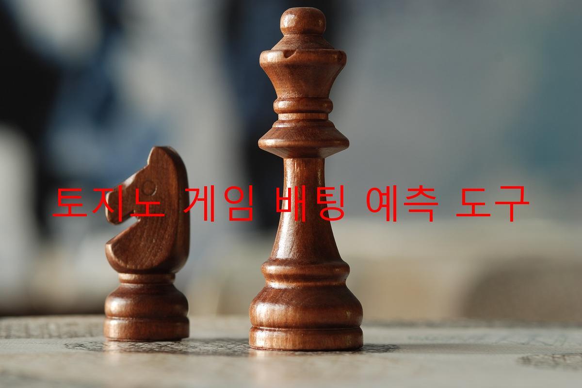 토지노 게임 배팅 예측 도구