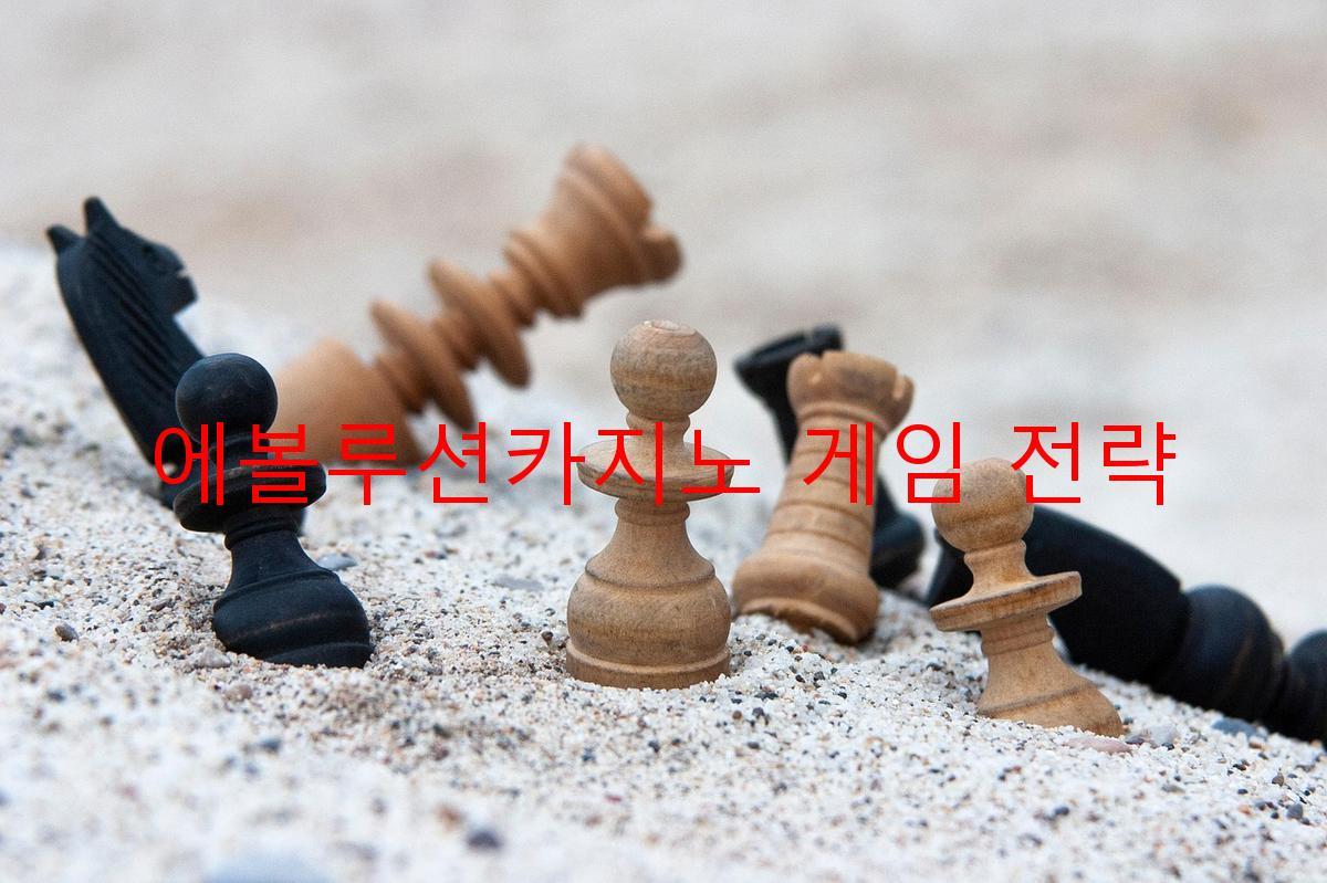 에볼루션카지노 게임 전략