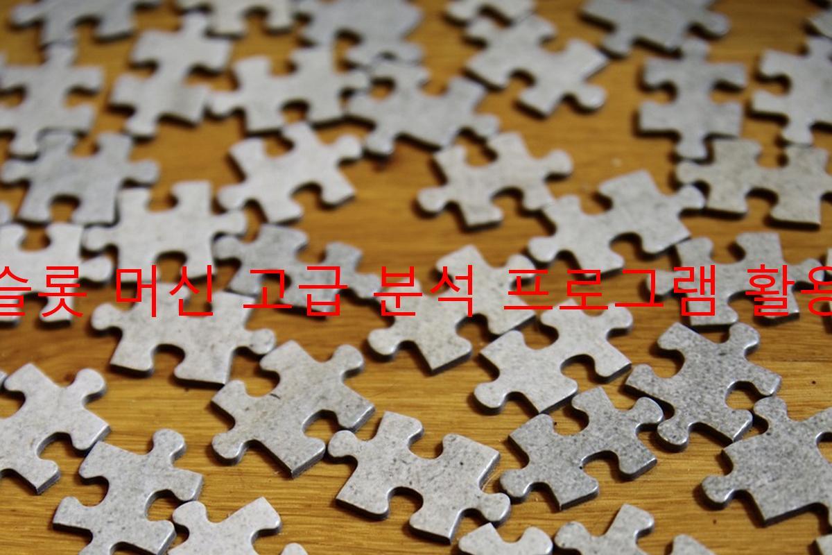 슬롯 머신 고급 분석 프로그램 활용