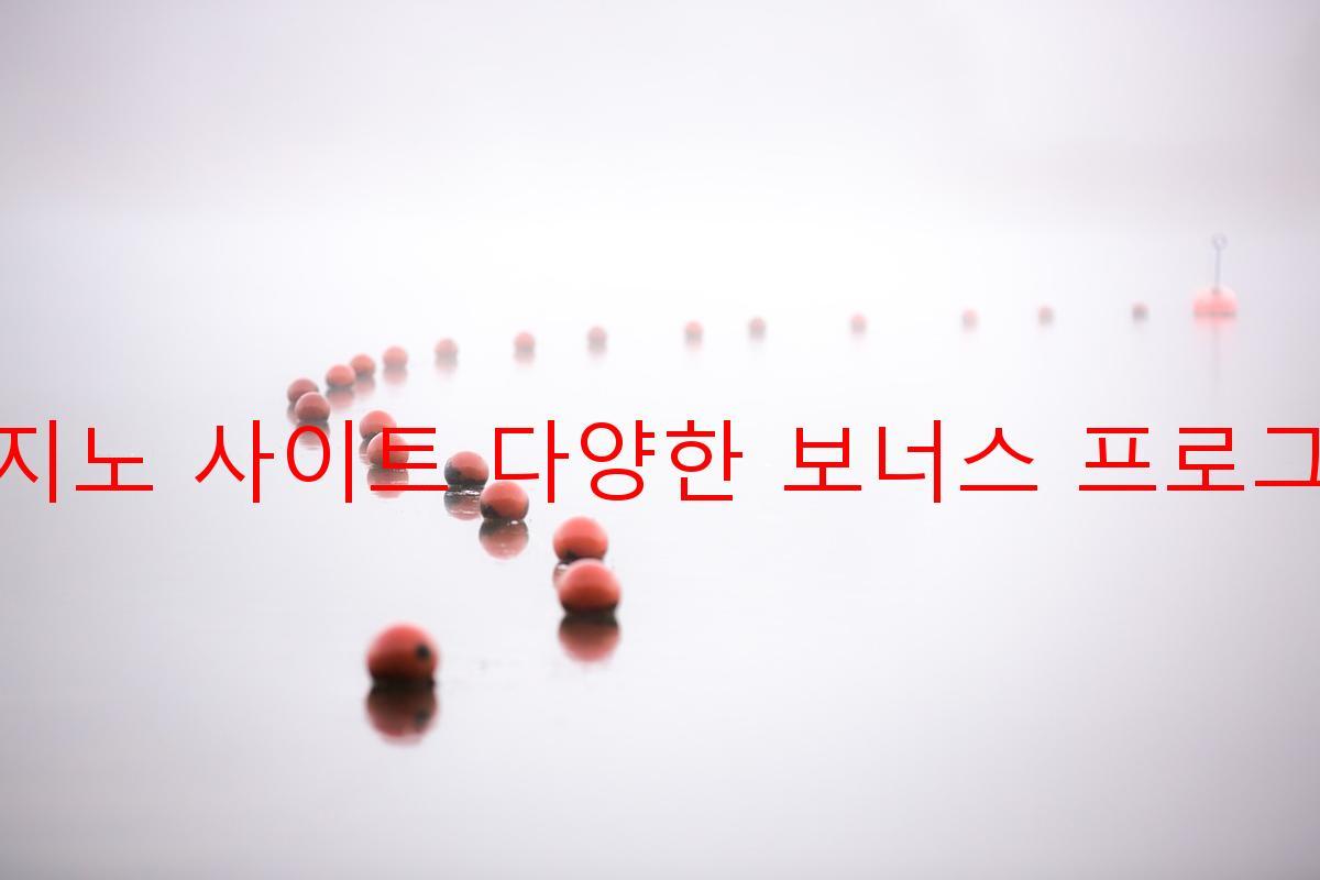 보증 카지노 사이트 다양한 보너스 프로그램 제공