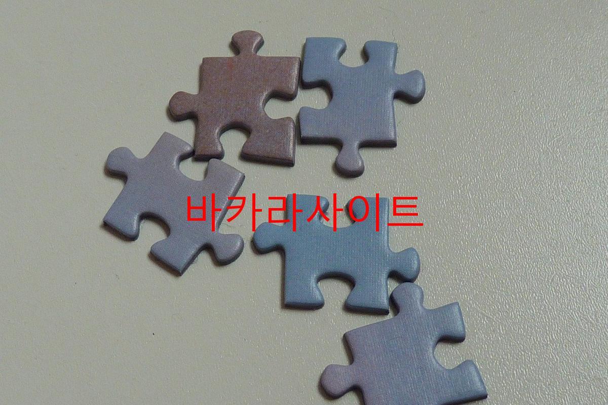 바카라사이트
