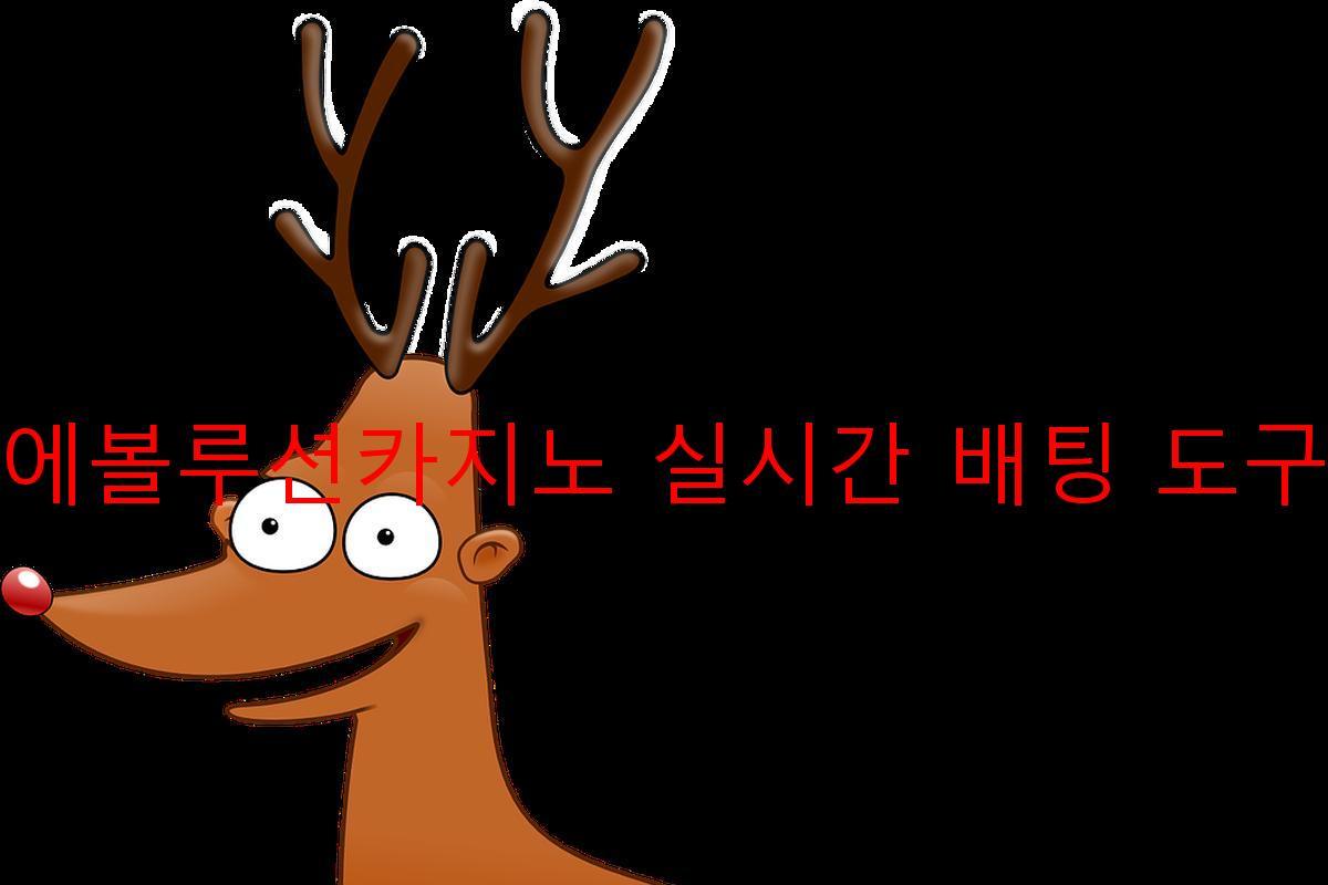 에볼루션카지노 실시간 배팅 도구