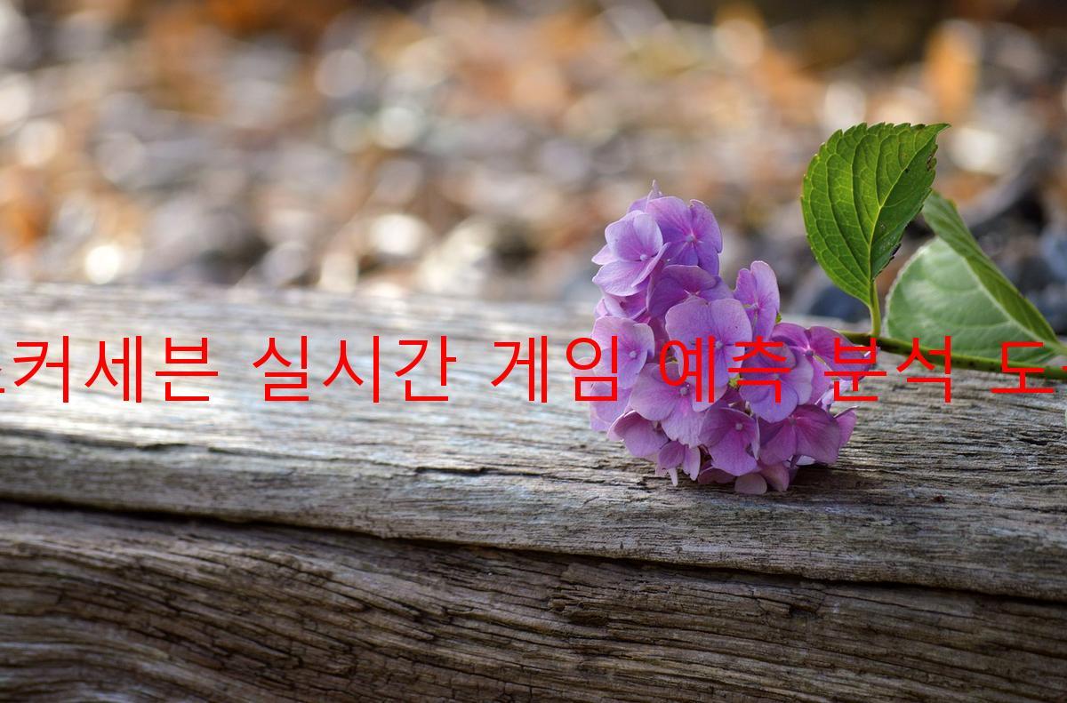 죠커세븐 실시간 게임 예측 분석 도구