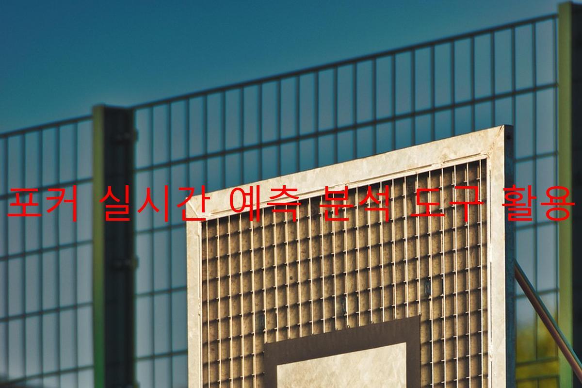 포커 실시간 예측 분석 도구 활용