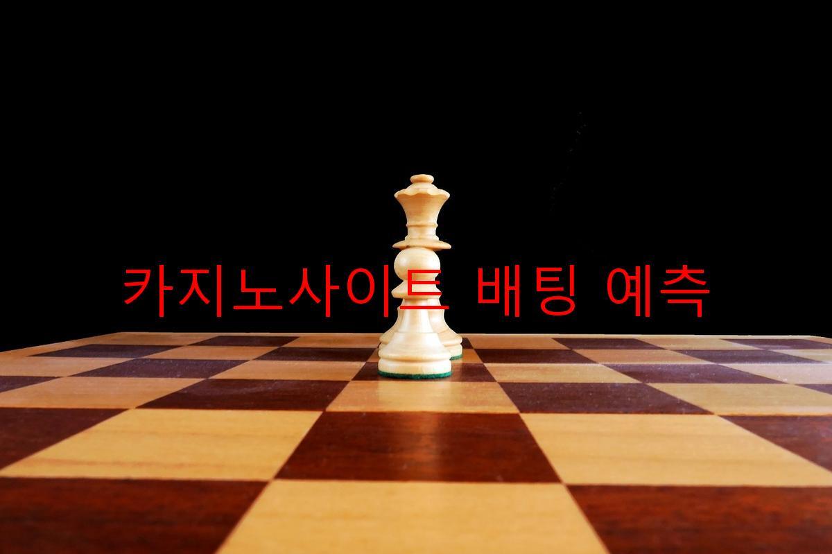 카지노사이트 배팅 예측