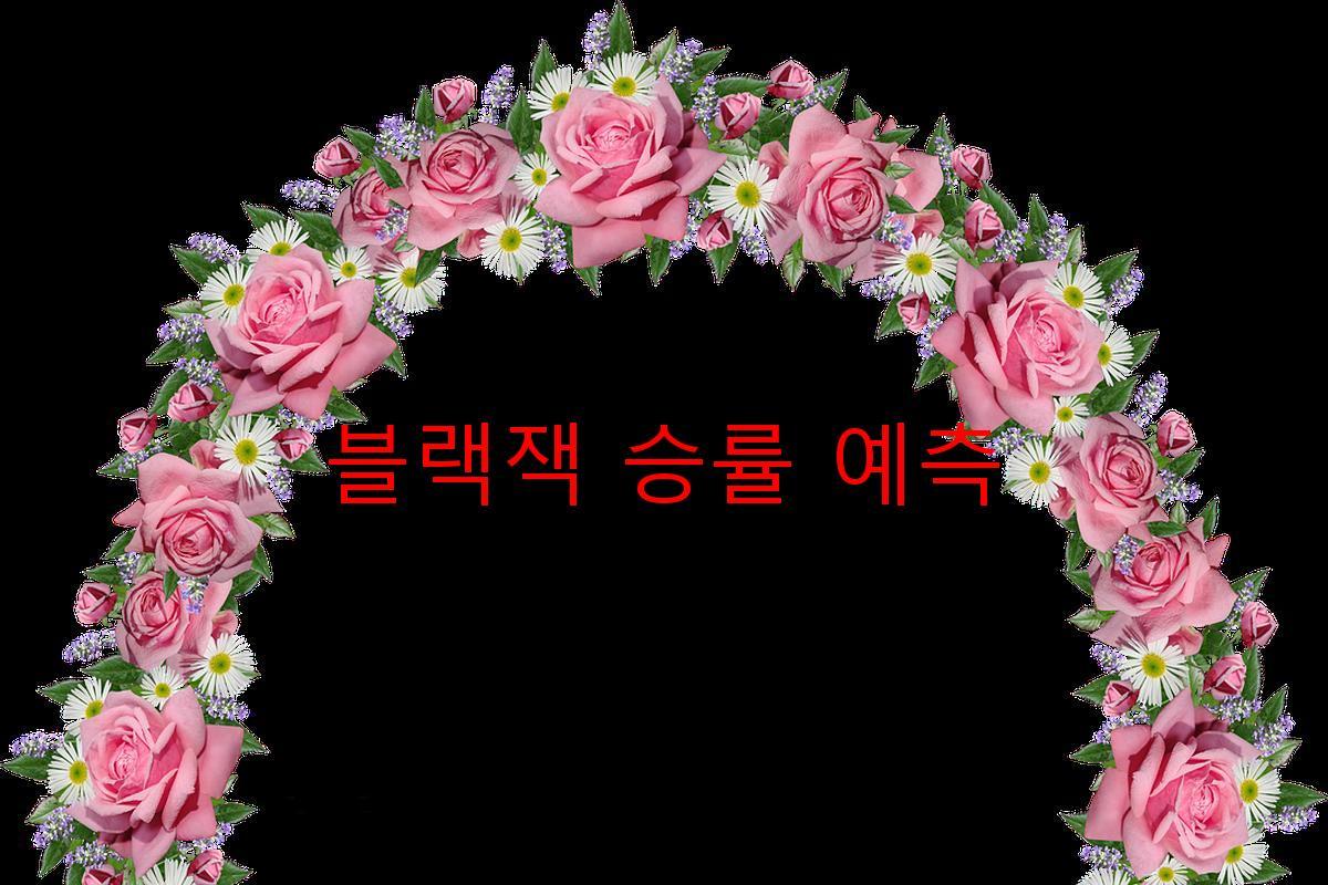 블랙잭 승률 예측