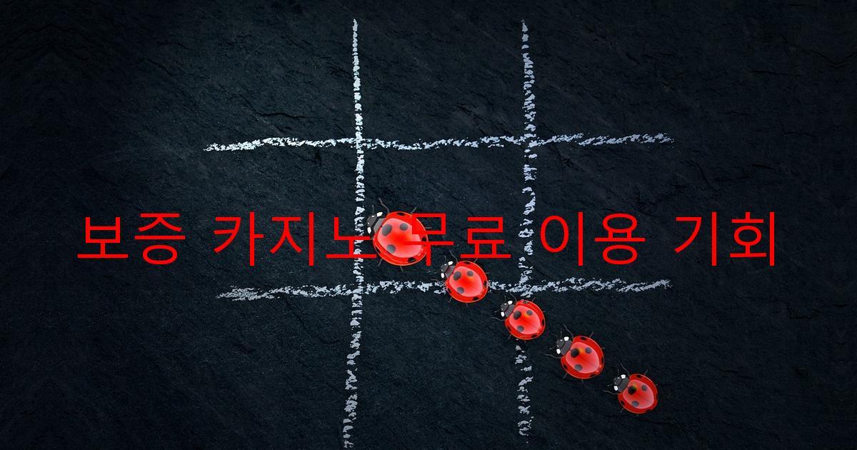 보증 카지노 무료 이용 기회