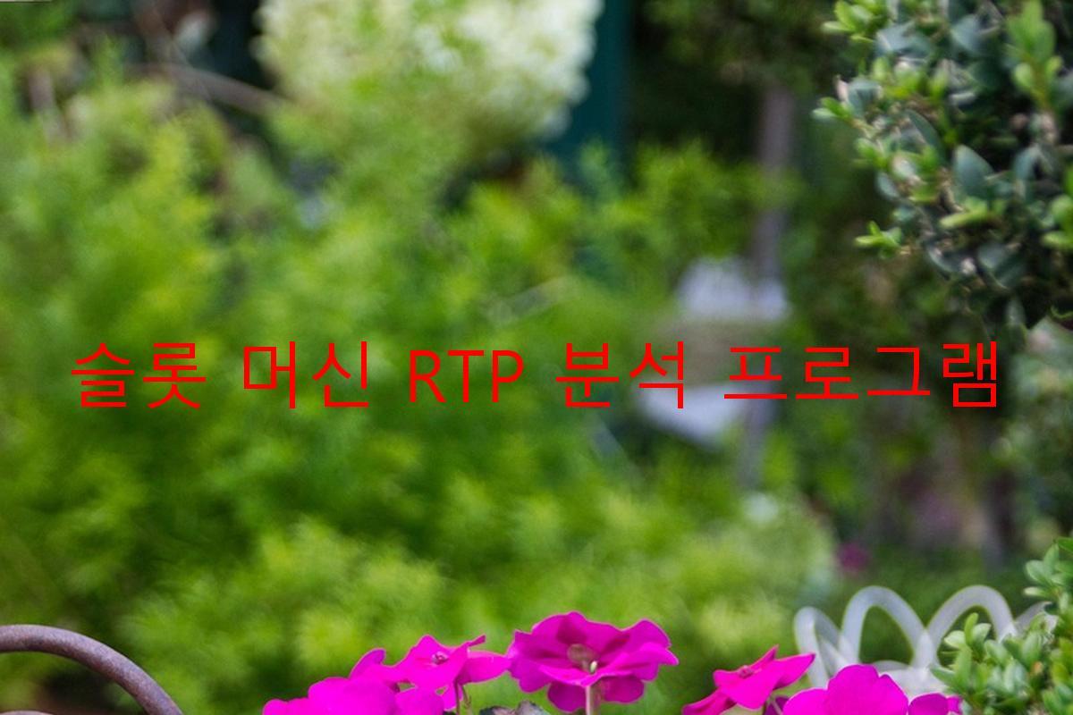 슬롯 머신 RTP 분석 프로그램