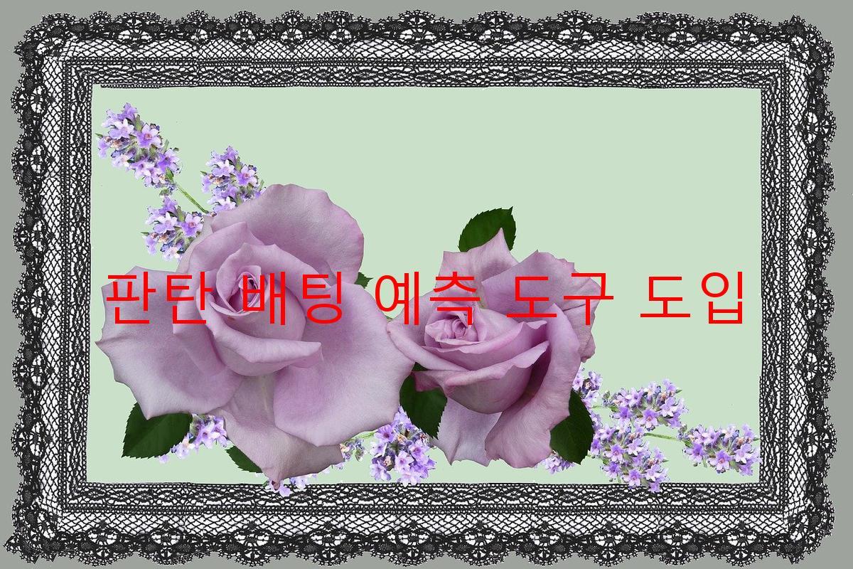 판탄 배팅 예측 도구 도입