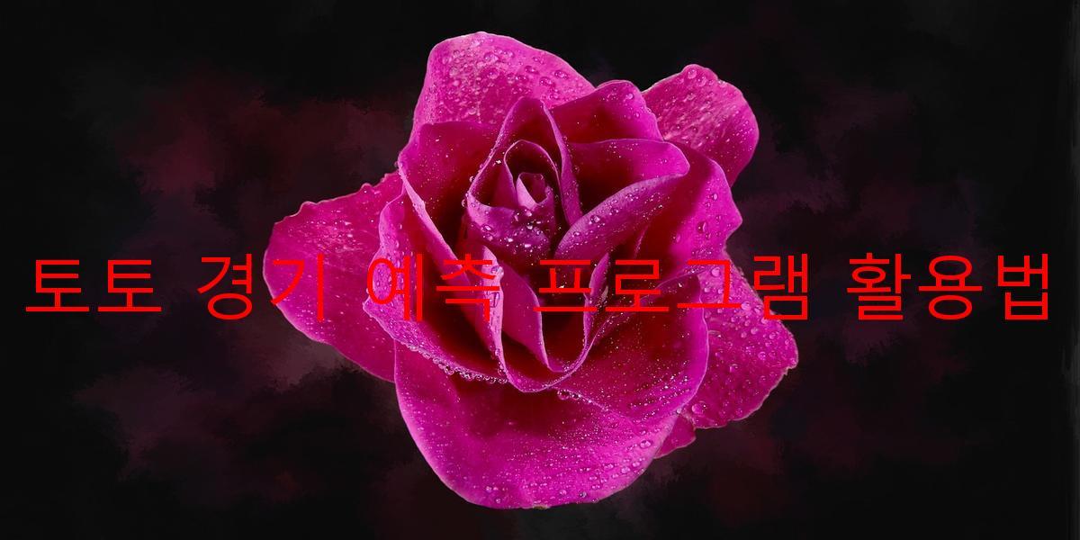 토토 경기 예측 프로그램 활용법