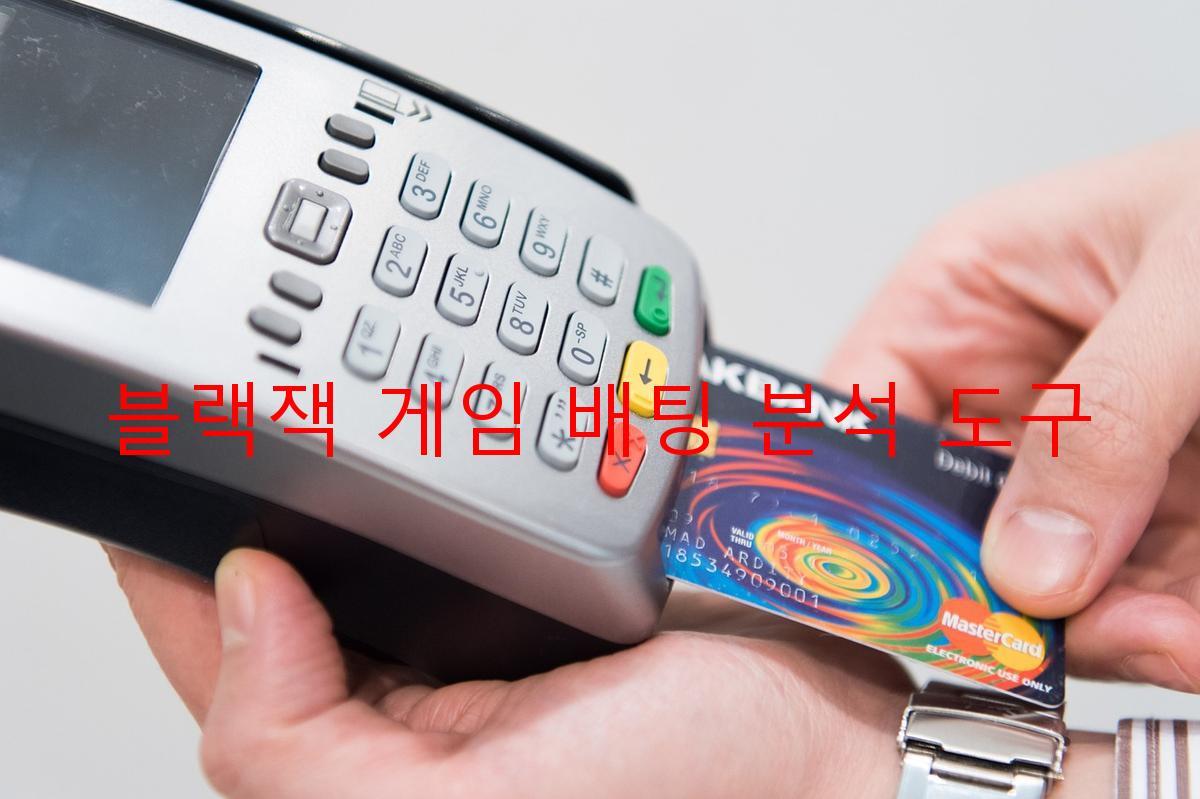 블랙잭 게임 배팅 분석 도구