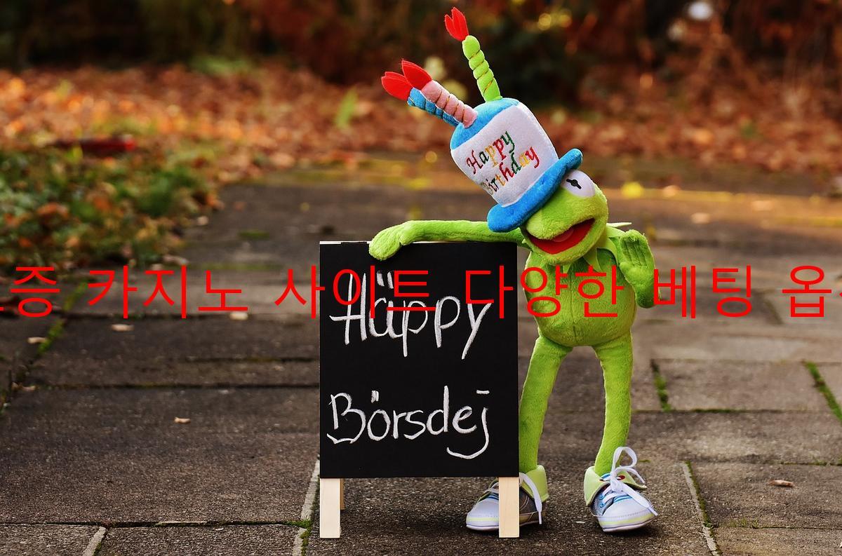 보증 카지노 사이트 다양한 베팅 옵션