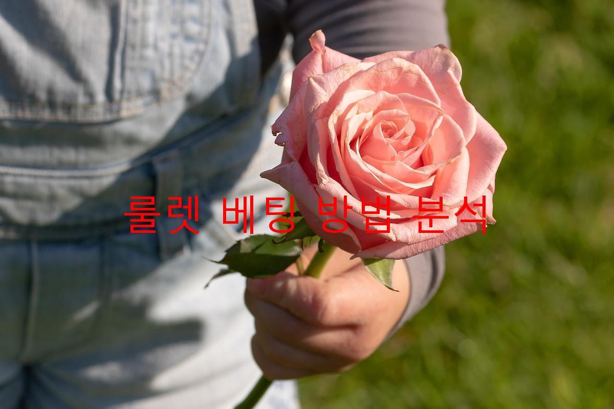 룰렛 베팅 방법 분석