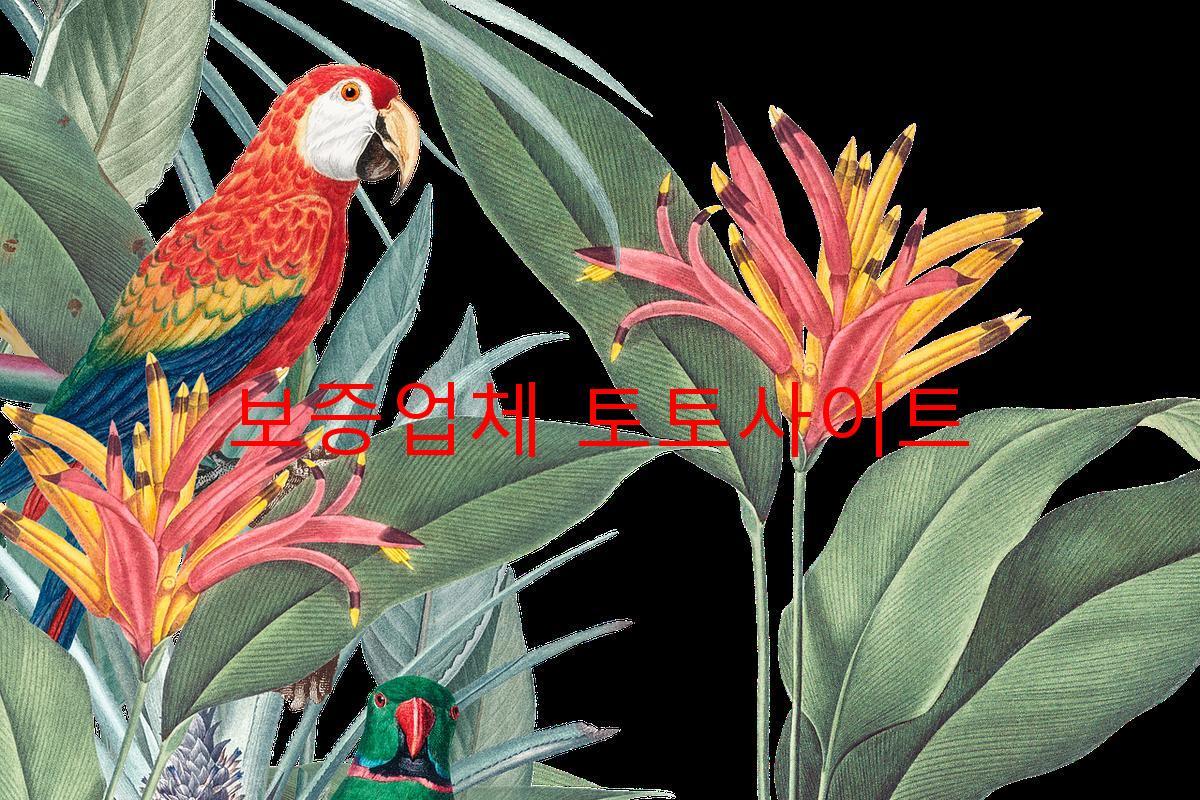 보증업체 토토사이트