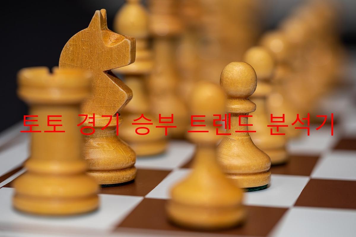 토토 경기 승부 트렌드 분석기