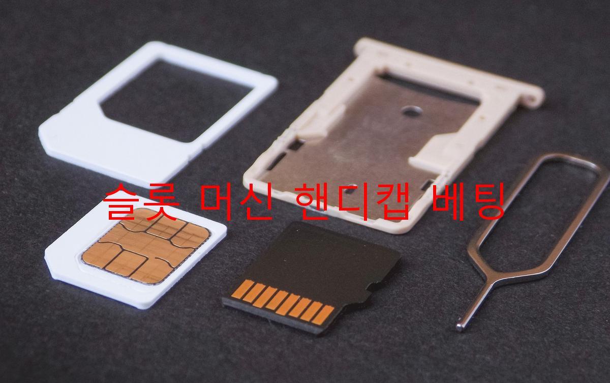 슬롯 머신 핸디캡 베팅