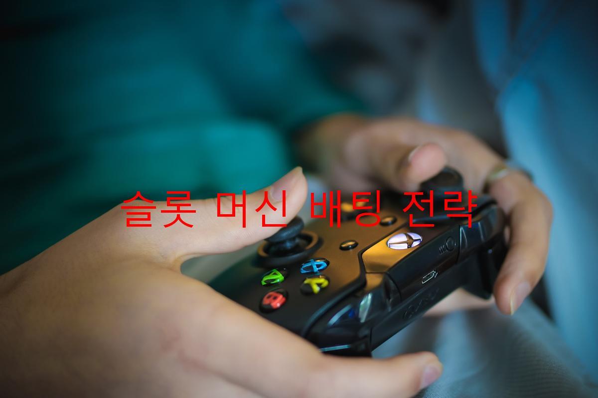 슬롯 머신 배팅 전략