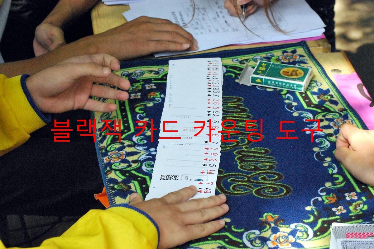 블랙잭 카드 카운팅 도구