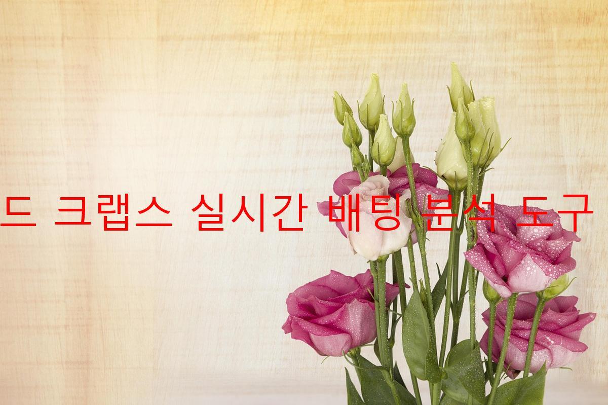 라운드 크랩스 실시간 배팅 분석 도구 추천