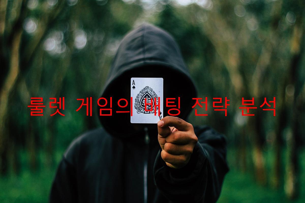 룰렛 게임의 배팅 전략 분석