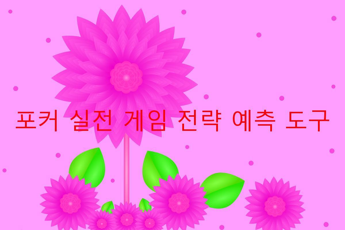 포커 실전 게임 전략 예측 도구