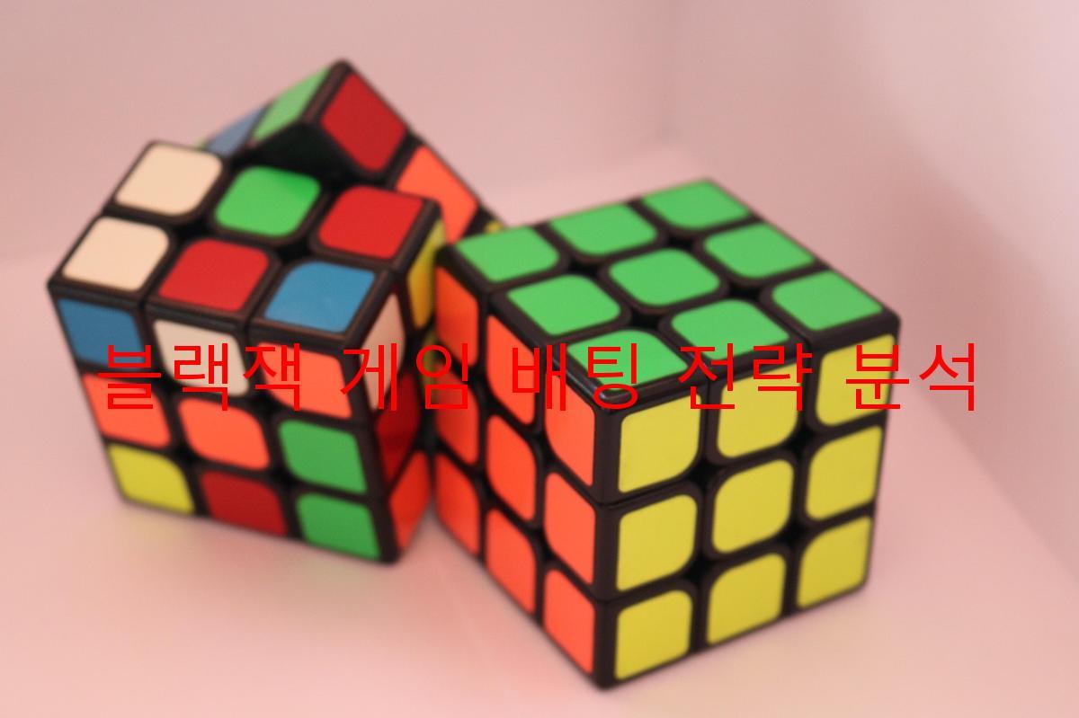 블랙잭 게임 배팅 전략 분석