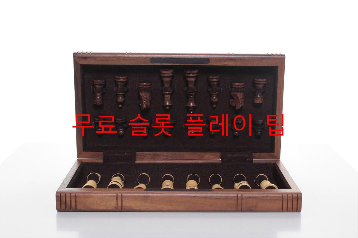 무료 슬롯 플레이 팁