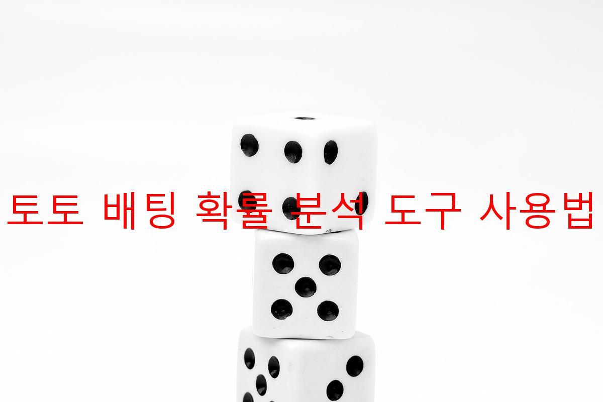 토토 배팅 확률 분석 도구 사용법