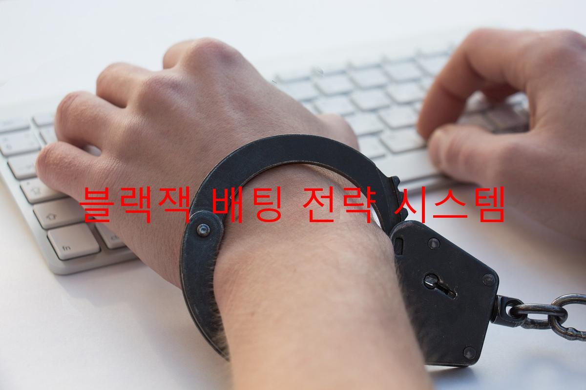 블랙잭 배팅 전략 시스템