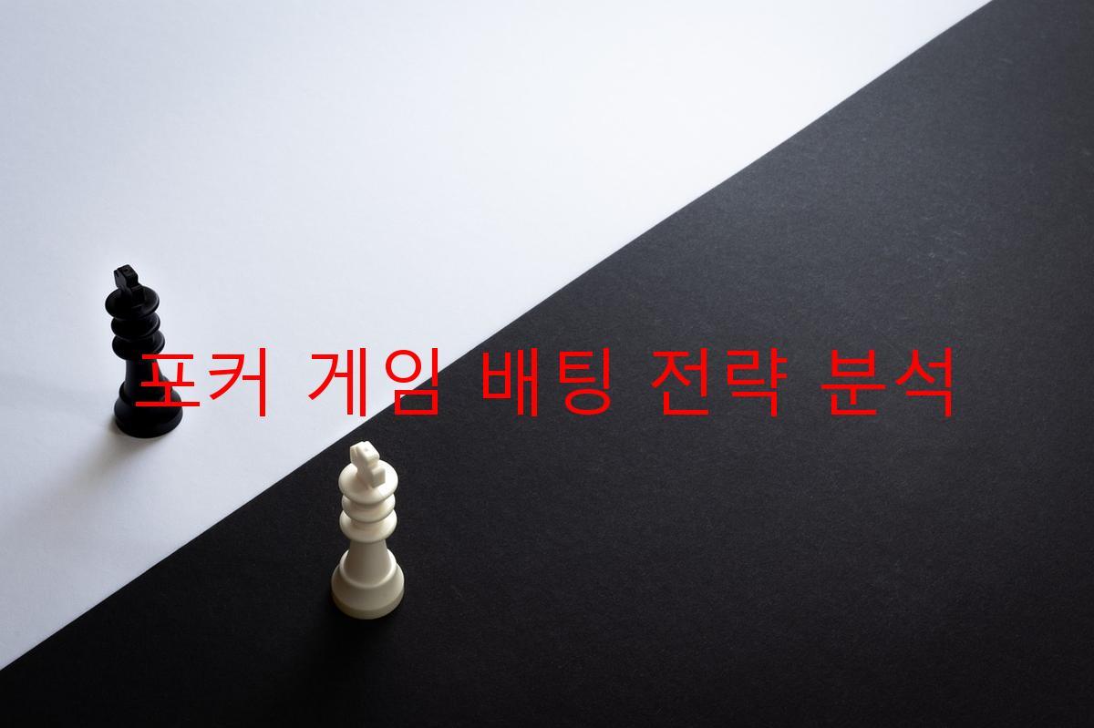 포커 게임 배팅 전략 분석