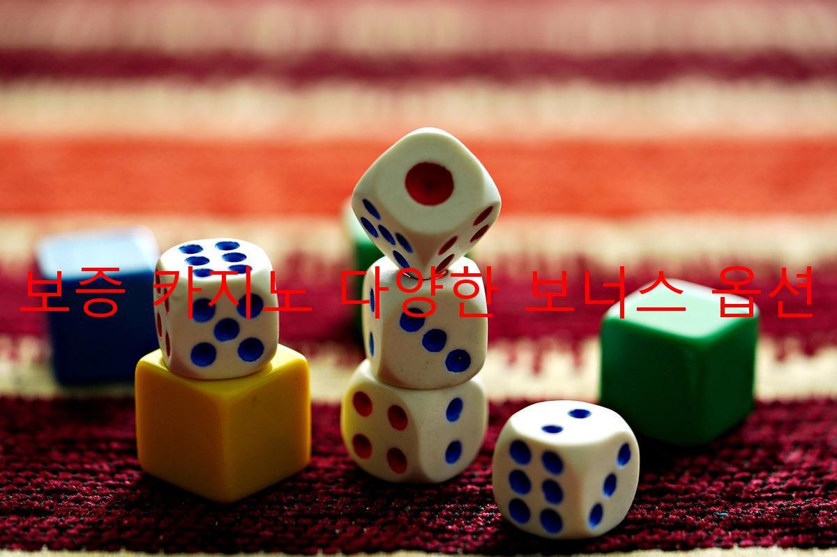 보증 카지노 다양한 보너스 옵션