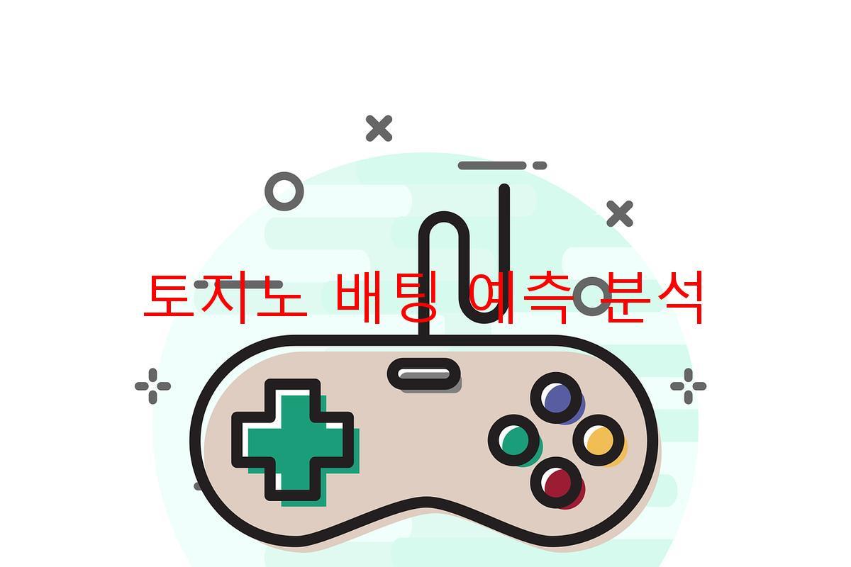 토지노 배팅 예측 분석