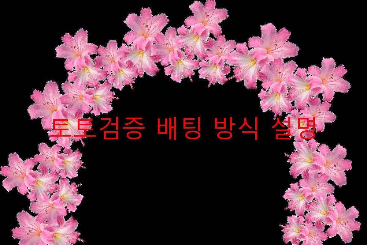 토토검증 배팅 방식 설명