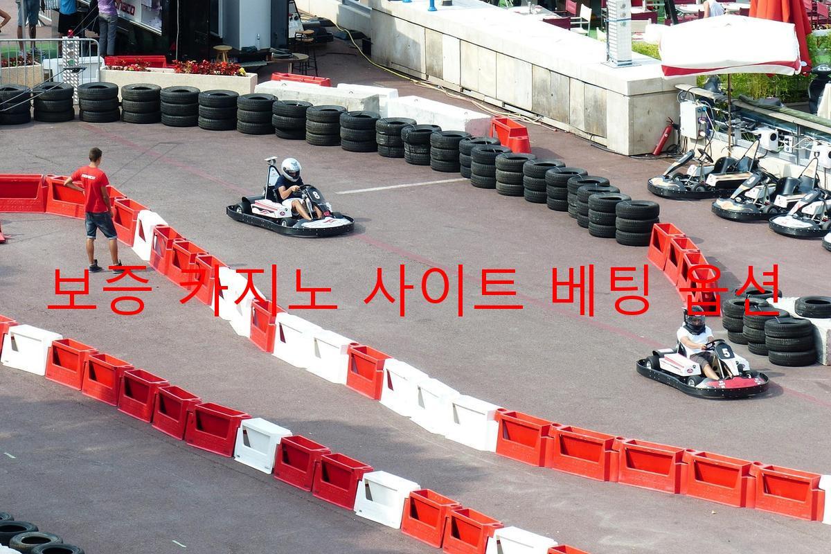 보증 카지노 사이트 베팅 옵션