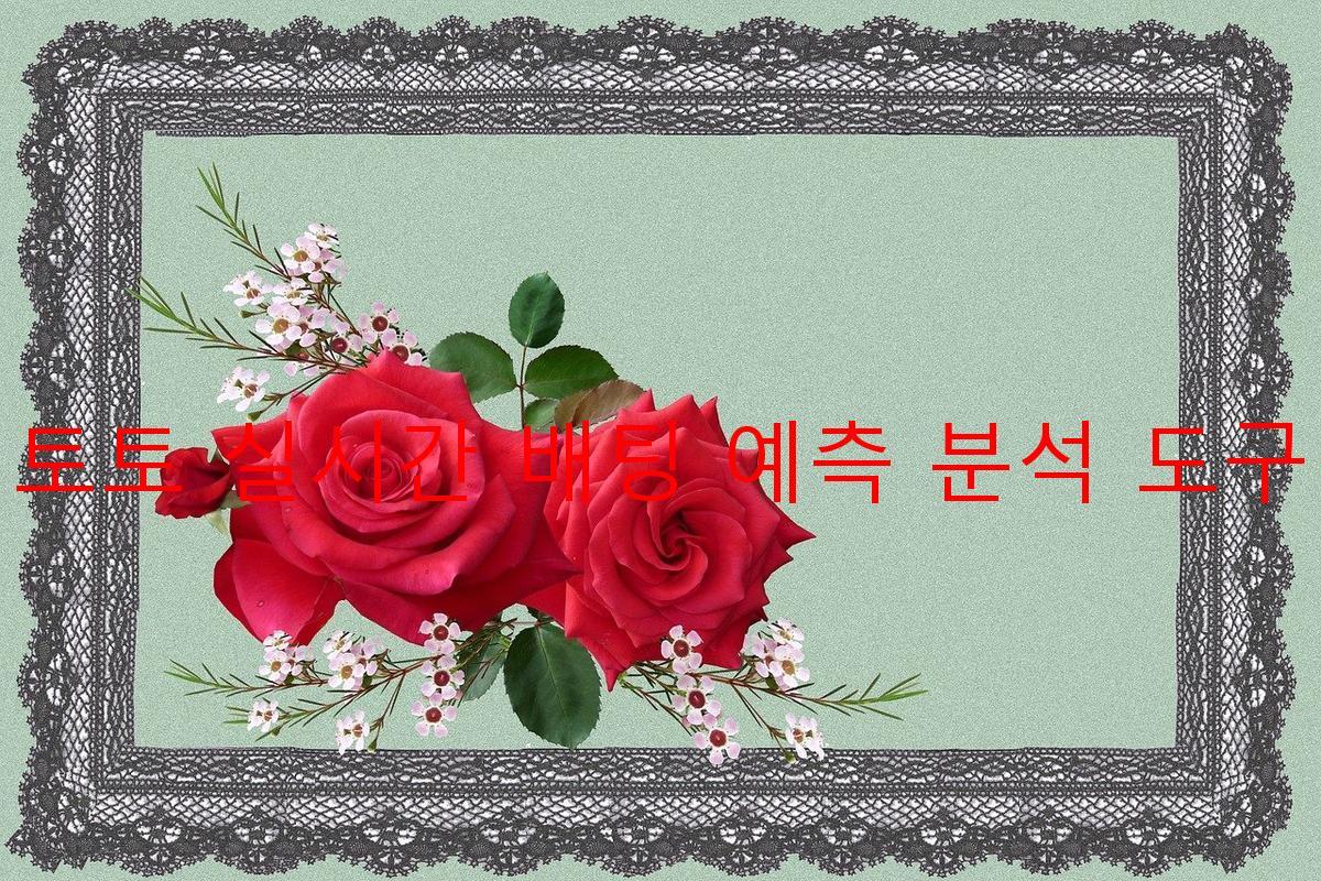 토토 실시간 배팅 예측 분석 도구