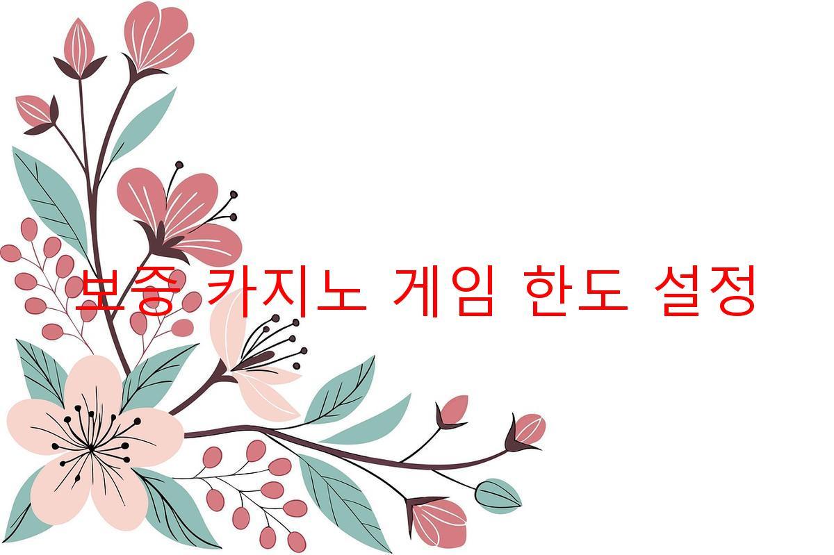 보증 카지노 게임 한도 설정