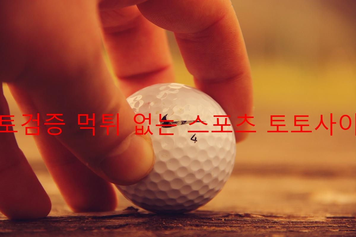 토토검증 먹튀 없는 스포츠 토토사이트