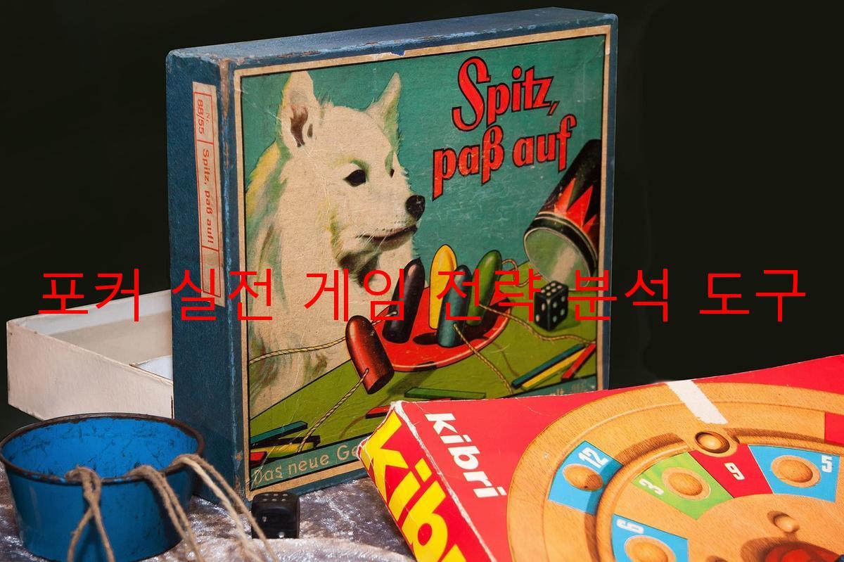 포커 실전 게임 전략 분석 도구