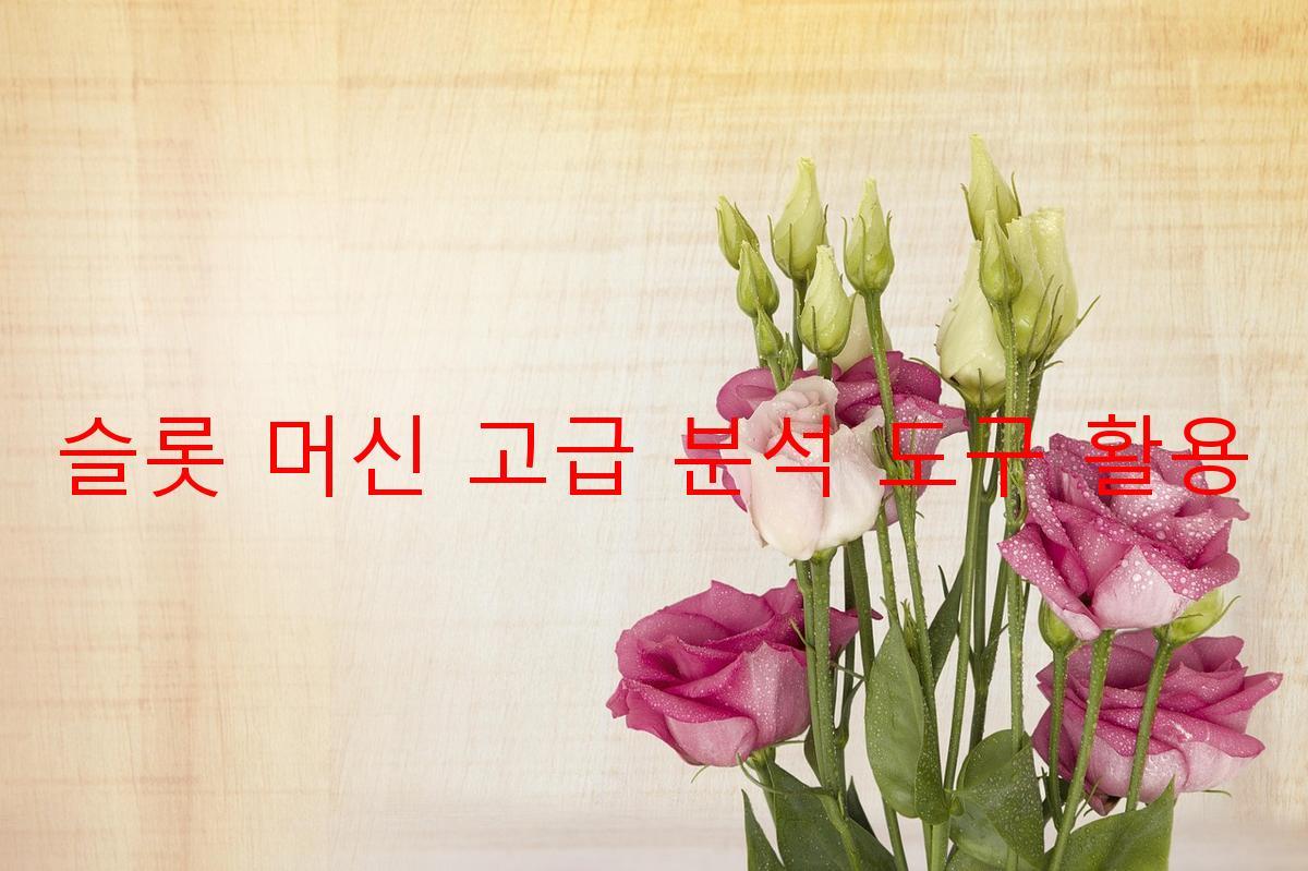 슬롯 머신 고급 분석 도구 활용