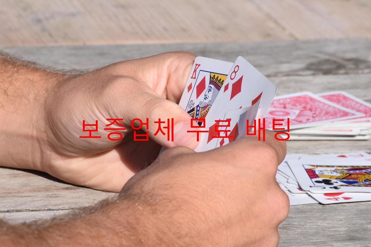 보증업체 무료 배팅