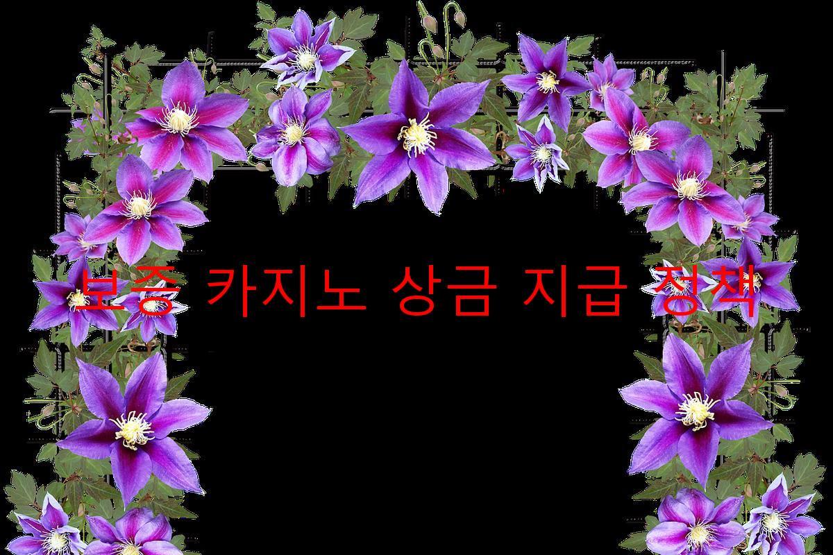 보증 카지노 상금 지급 정책
