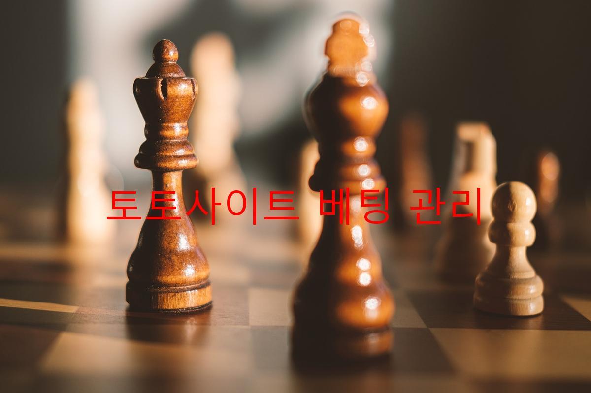 토토사이트 베팅 관리