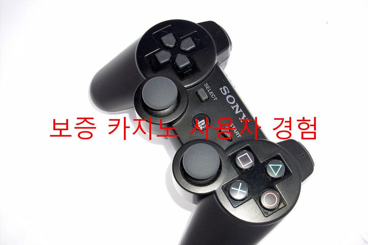 보증 카지노 사용자 경험