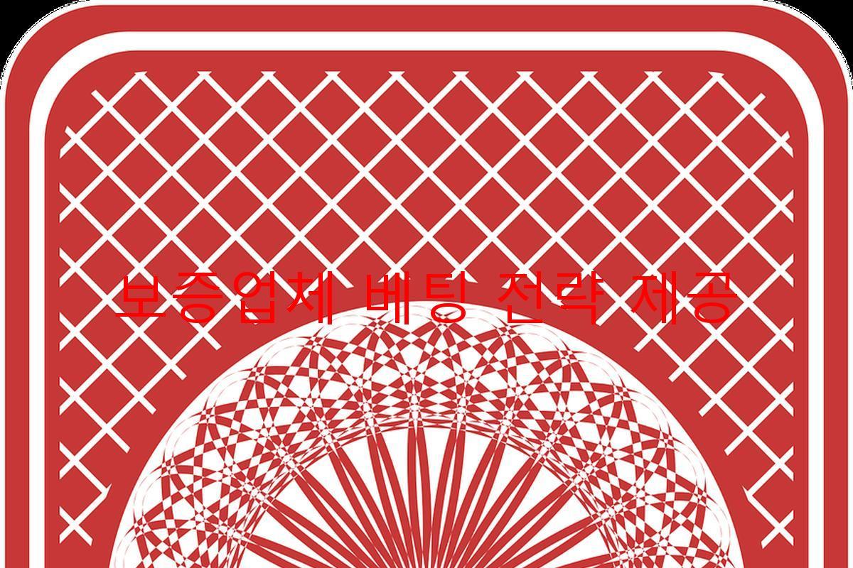 보증업체 베팅 전략 제공