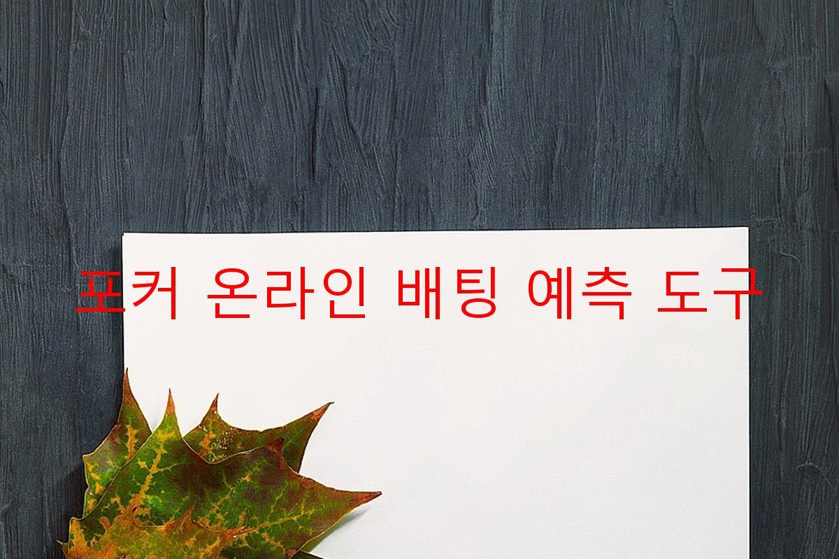 포커 온라인 배팅 예측 도구